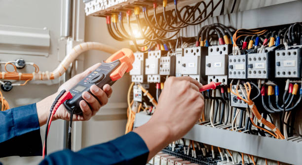 Best Local Electrician Companies  in Friona, TX
