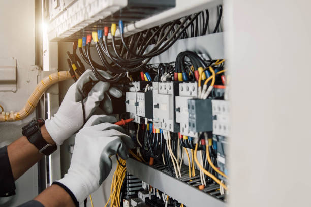 Best Electrical System Inspection  in Friona, TX