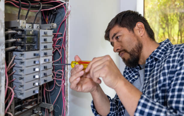 Best Licensed Electrician  in Friona, TX